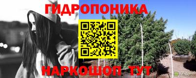 мяу мяу мука Северобайкальск