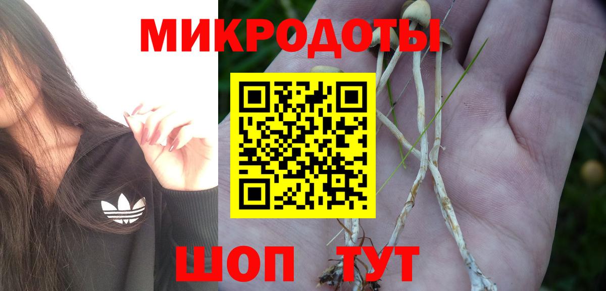 Галлюциногенные грибы GOLDEN TEACHER Аша